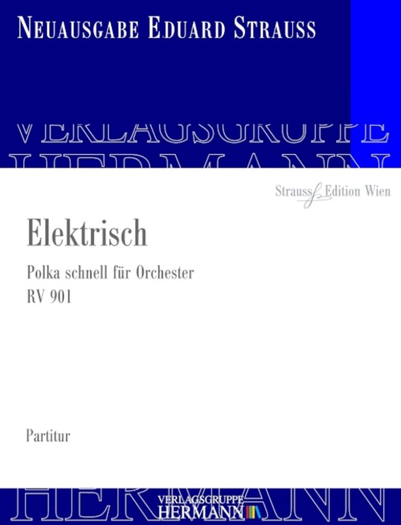 Elektrisch RV 901